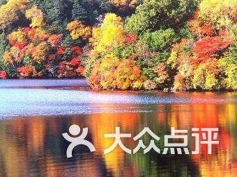 燃烧吧大脑免广告最新版