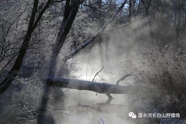 集装箱货运列车拼图