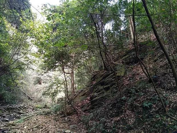 老街walk|漫步五大道,小洋楼里感受“哏儿都”风情