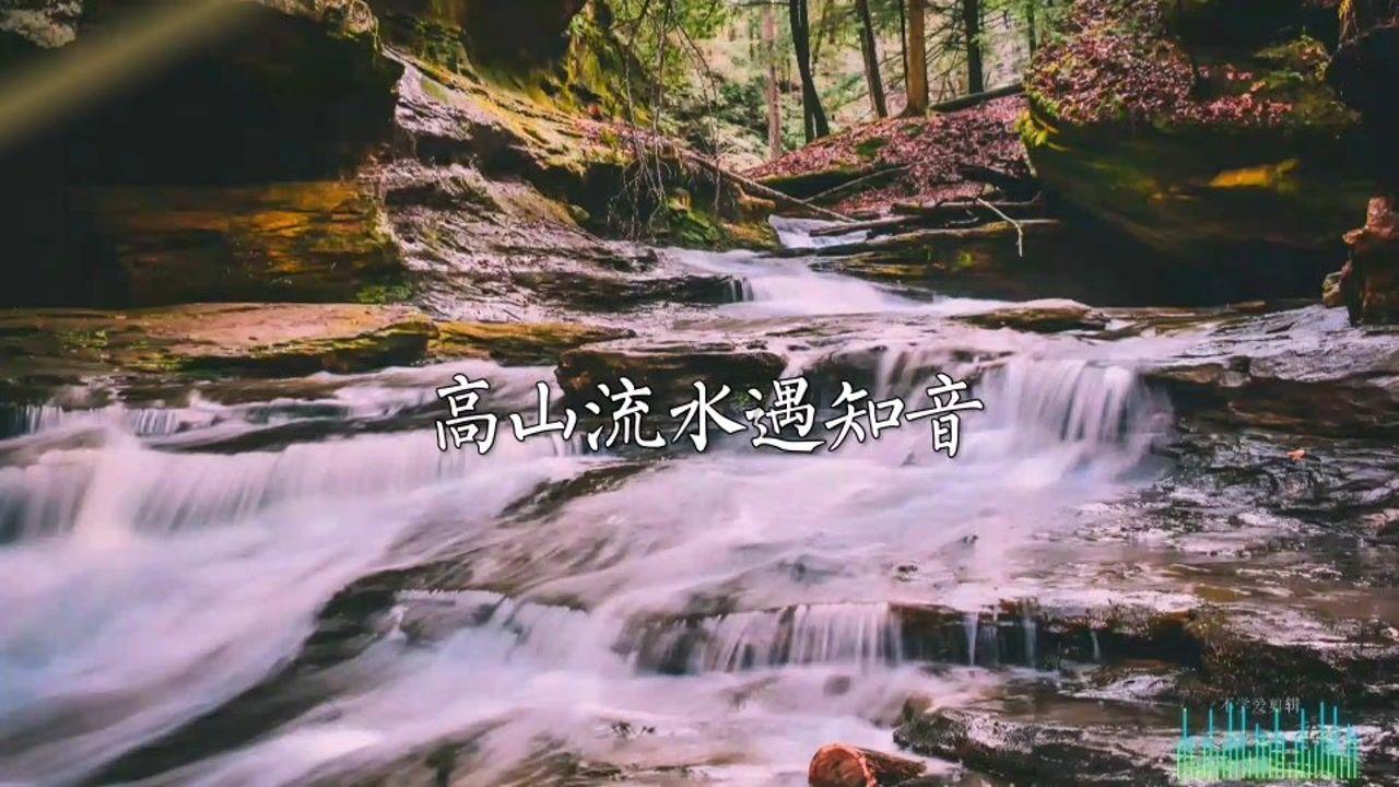 新春走基层| 降水即将来临,“头雁”新农人忙着用无人机撒小麦肥